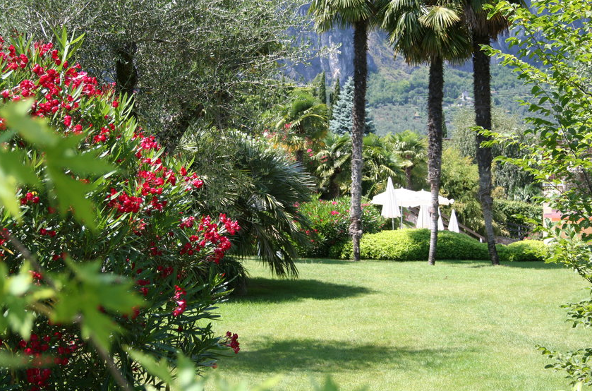 esterna giardino