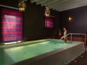 Villa Cordevigo Wine Relais озеро Гарда - бассейн SPA Villa Cordevigo Wine Relais озеро Гарда - бассейн SPA